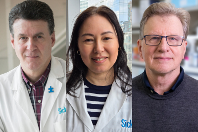 Dr. Stephen Scherer, Lisa Bradley, Graham Collingridge