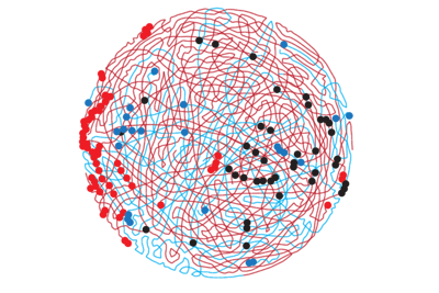 Red and blue chromosomal 'arms' swirl in a circle, with red, blue and black dots heavily concentrated on the far left and middle right sides of the circle.