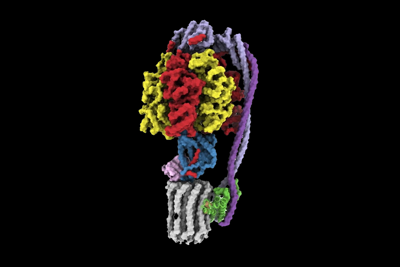 A 3d model of the ATP synthase of mycobacteria.