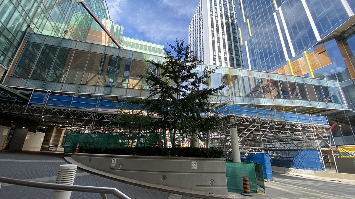 A bridge over a city street, connected to one building on either end. The bridge is made of large panels of clear glass