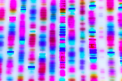 Colourful patterns representing DNA sequences