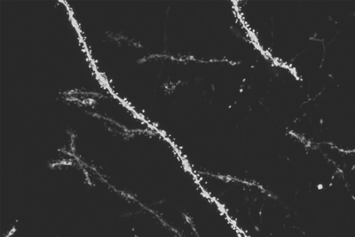 A white curved line with dots along it on a dark background.